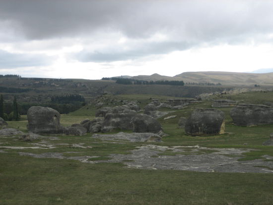 Schon von weit weg kann man die Elefantenruecken erkennen...