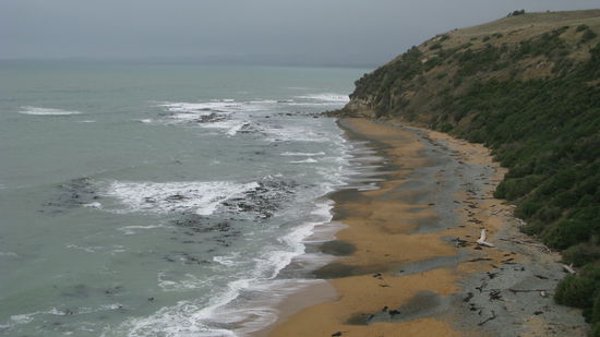 Der Strand in Oamaru, wo hoffentlich bald Pinguine auftauchen...