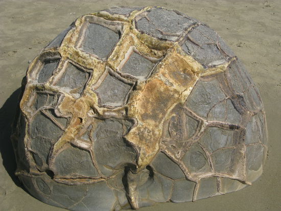 Die verschiedenen Strukturen der Steine faszinierte uns besonders.