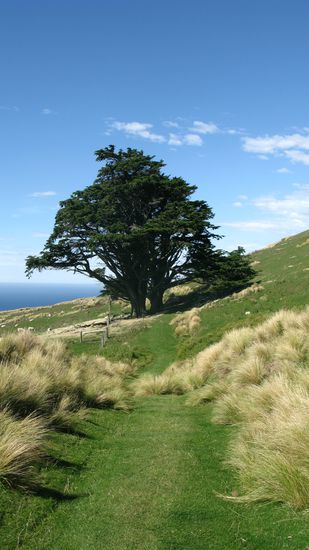 Auf unserer Wanderung, da laeuft man gern noch ein paar Minuten extra. 