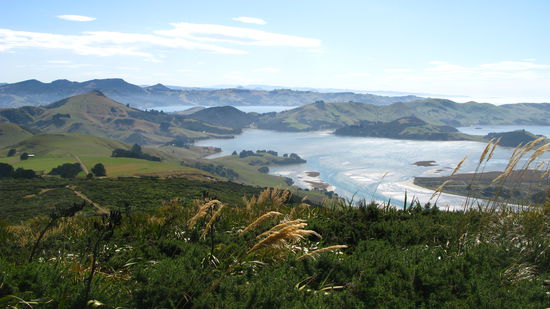 Die Otago Peninsula mit ihrer atemberaubender Aussicht.