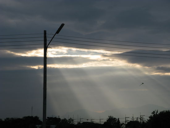 Die Hoffnung auf eine baldige Ankunft besteht...