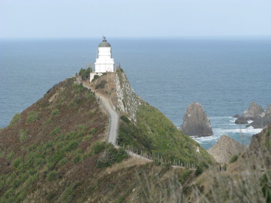 Der Leuchtturm am Nugget Point