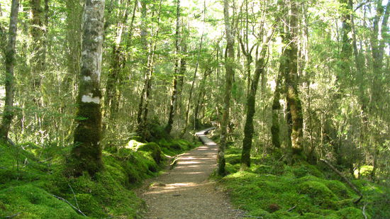 Auf unserer Wanderung...
