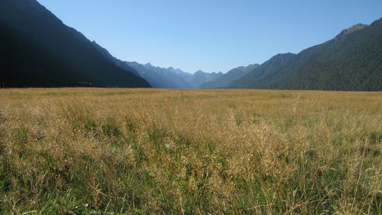 Bei diesem Lookout konnte man weit ins Tal sehen.
