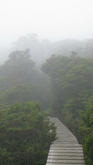 Unser Weg auf dem Key Summit verlaeuft direkt in den Nebel...