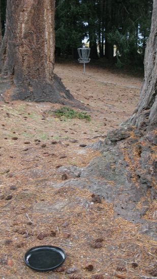 Frisbee-Golf: Der Korb im Hintergrund muss man aus weiter Distanz treffen. Witzige Sportart!