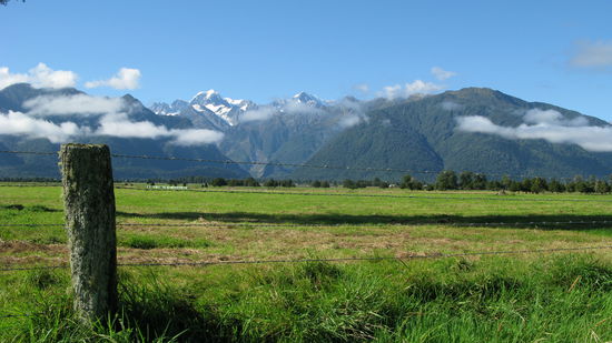 Typisch Kiwis: alles wird eingezaunt. 