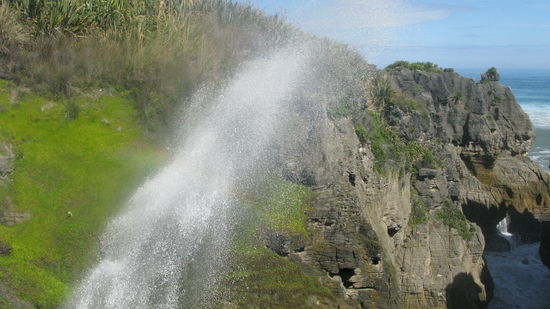 Die riesige Fontaene spritzt aus den Blowholes...