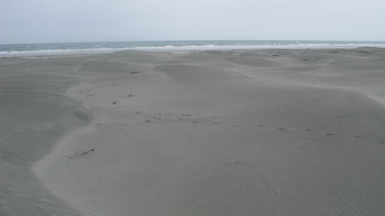 Zurueck auf dem richtigen Track gings ueber jenste Duenen, was echt anstrengend war...