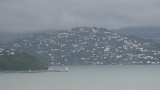 Schon fast auf der Nordinsel angelangt. Der Blick auf einen Villenhuegel Wellingtons.