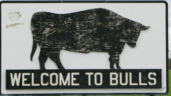 Auf der Fahrt gings an dem Oertchen "Bulls" vorbei. Sehr zu Celos Freude.