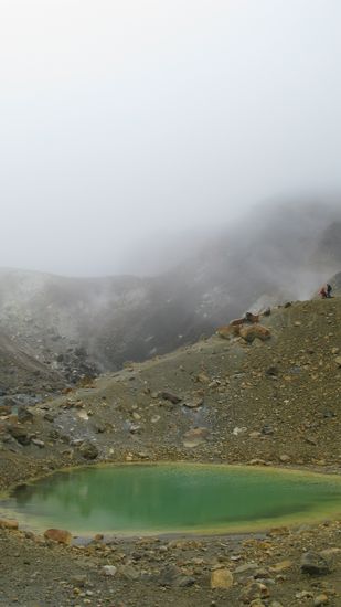 ...welche uns ein wenig Farbe brachten.