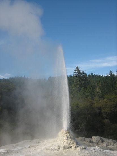 Der "Lady Knox Geyser" spritzte dank Seife einige Meter in die Luft.