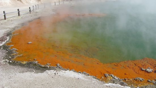 ... der Schoenste von allen: Champagne Pool!