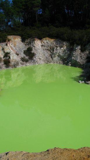 Und noch ein giftig gruener Pool.