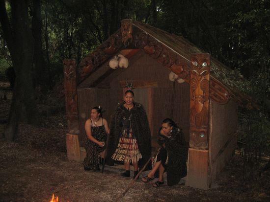In der Dorfmitte erklaerten die Maoris uns Details ueber ihren Alltag.