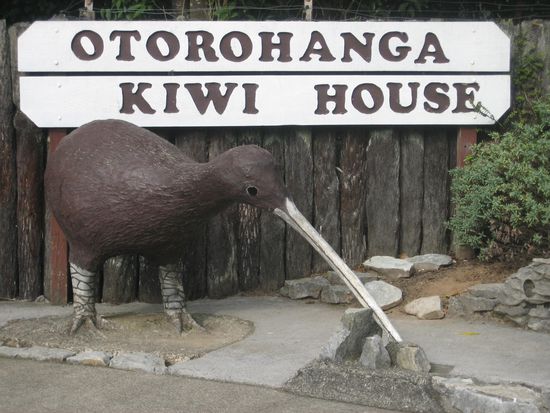 ...daher besuchten wir das Kiwi House.