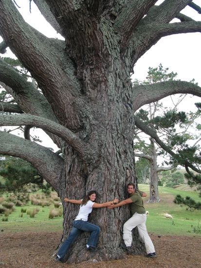 Wir koennen es natuerlich nicht lassen... 