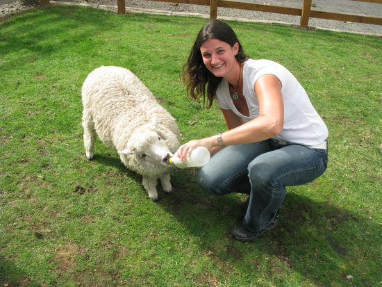 Und Fraenzi durfte ein Laemmlein fuettern. 
