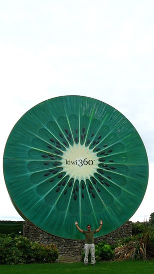 Im Park "Kiwi 360" war Celo hellbegeistert. Alles drehte sich um die Kiwifrucht.