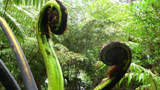 Auf dem Weg dahin gab es immer wieder Vieles zum bestaunen...