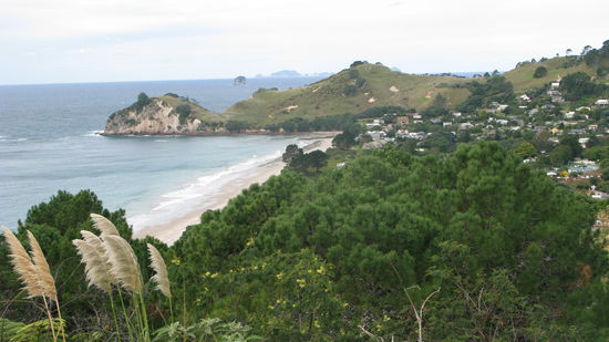 Ausblick auf "Hahei"