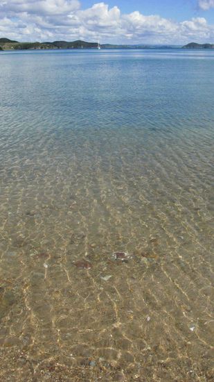 ...sind einfach ein Traum!