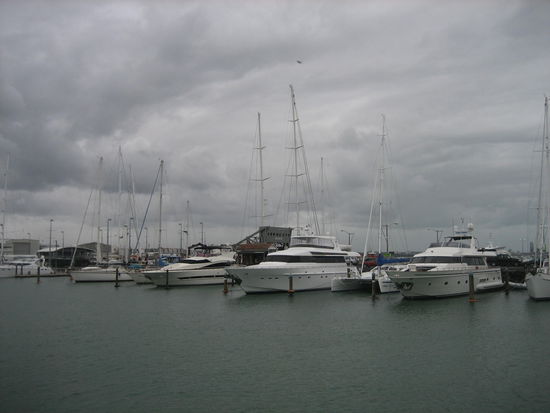 Der Yachthafen von Auckland