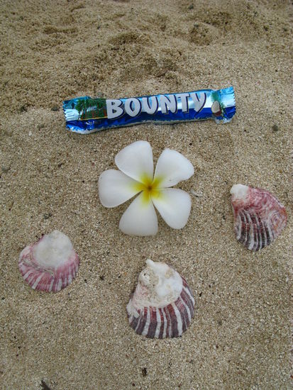 Ein "Bounty" auf Bounty Island 