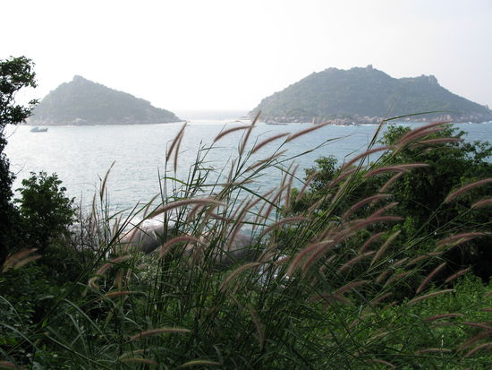 Ausblick auf unserem Spaziergang - im Hintergrund die Insel Nang Yuan.