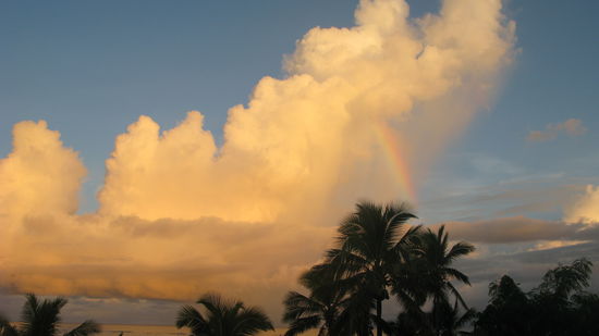 Die morgendliche Stimmung.