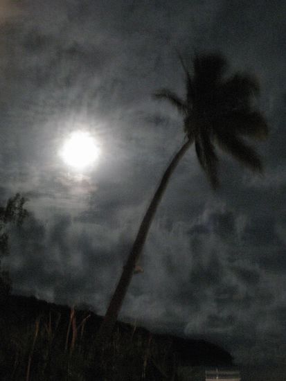 HUHUHUH der Vollmond ist da 