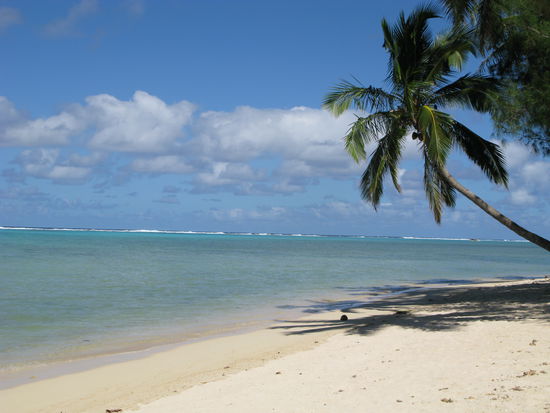 So siehts auf Rarotonga aus...