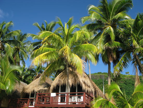 Unser Traumbungalow...