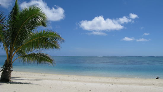 ...direkt am wunderschoenen weissen Sandstrand.