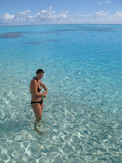 Fraenzi von tausend Fischen umgeben. Also gehts auf zum Schnorcheln...