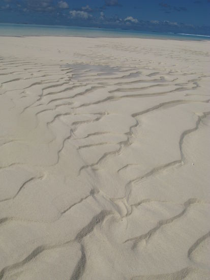 ...es war auch einfach unschlagbar fantastisch!!