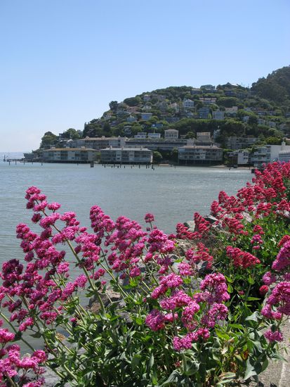 Unser Ziel endete in der süssen Ortschaft "Sausalito".