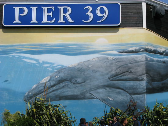 Sowie es auch am "Pier 39"...