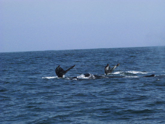...und dann gemeinsam abtauchen.