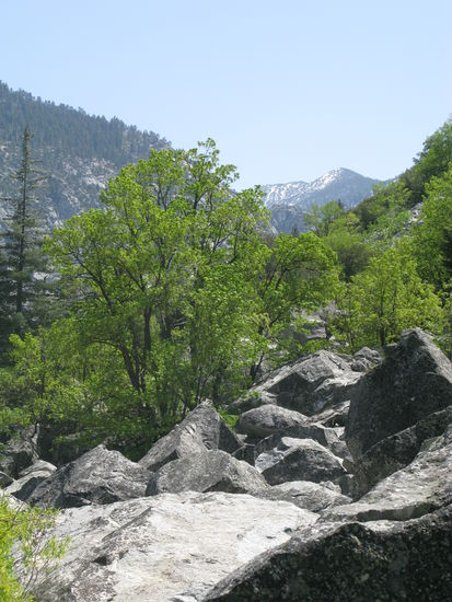 Auf unserem Spaziergang ging es über haufenweise Granitfelsen...