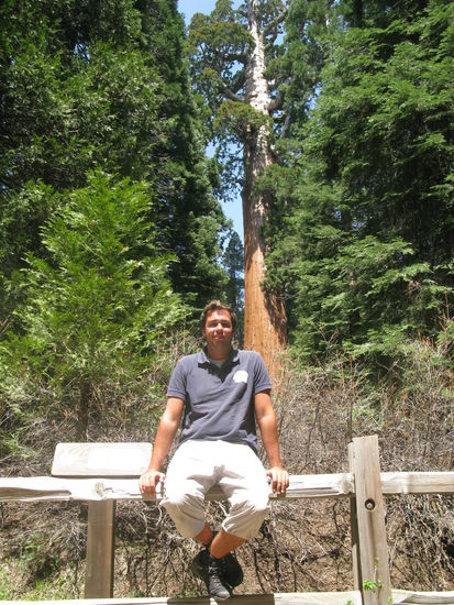 ...ist der drittgrösste Baum auf Erden.
Celo dagegen winzig klein...