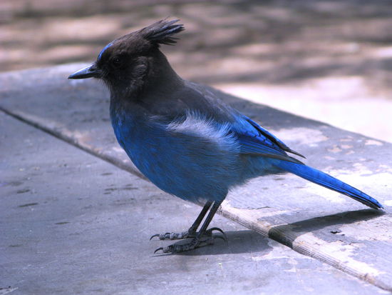 ...und wurden von diesem Freundchen bestens unterhalten. 