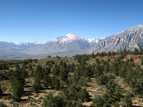 Richtung Death Valley sahen wir einige verschneite Berge...