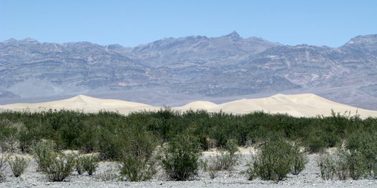 Endlich erblickten wir die legendären Sanddünen...