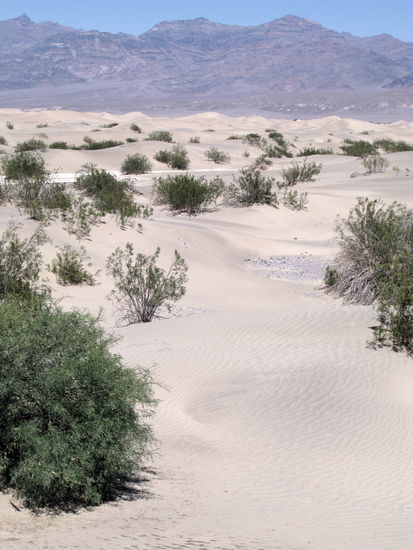...welche uns auf Erkundungstour einluden. Der Spaziergang war aber ganz schön kräfteraubend.