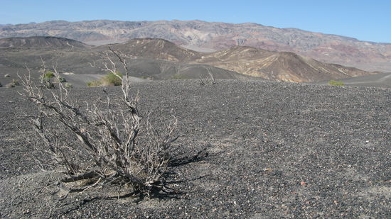 Impressionen der dürren Landschaft.