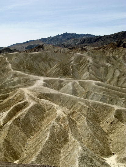 Unglaublich, wie ausgeprägt die Strukturen ersichtlich sind.