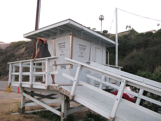 ...genauso Celo. Wer macht sich nun besser?